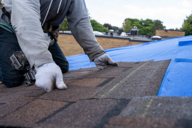 Best 4 Ply Roofing  in Hahnville, LA