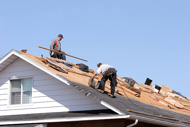 Best Skylight Installation and Repair  in Hahnville, LA